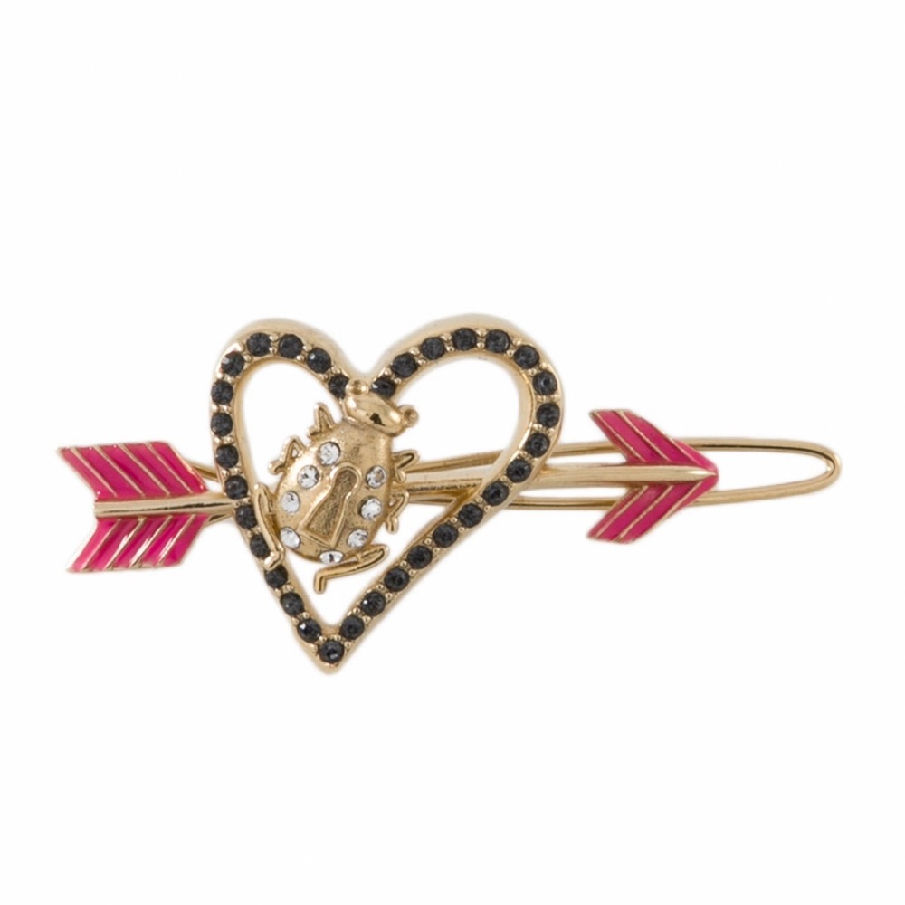 Schiaparelli Pin